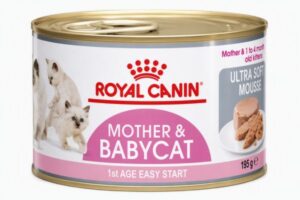 Royal Canin Mother & Babycat 195g cho mèo con