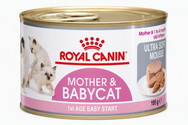 Royal Canin Mother & Babycat 195g cho mèo con