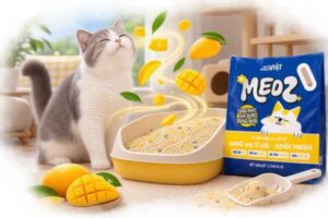 Cát mèo hương xoài mang đến trải nghiệm mới cho khay vệ sinh của Boss