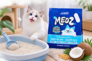 Cát mèo sữa dừa mang đến trải nghiệm mới cho khay vệ sinh