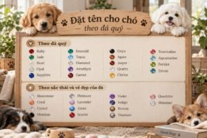 Chọn tên cho Boss theo đá quý và sắc màu nổi bật