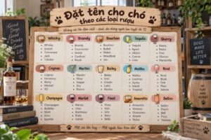 Gợi ý tên chó lấy cảm hứng từ các loại rượu